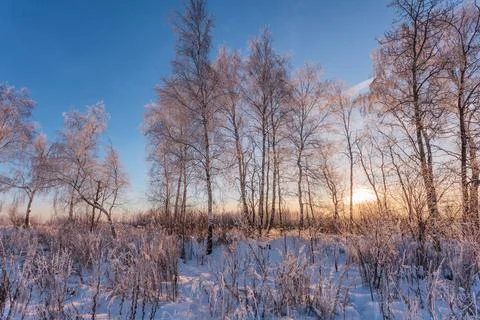 Sunset in winter field Stock Photos