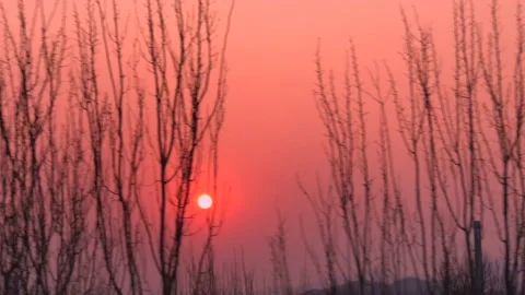 Sunset in winter Stockbeeldmateriaal 149900640