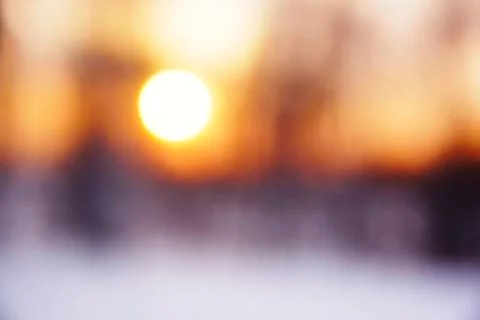 Sunset in winter forest - abstract blurred background Stock Photos