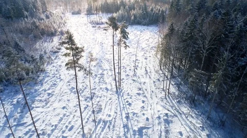 Sunset in Winter Forest, Aerial View Video stock 85420785