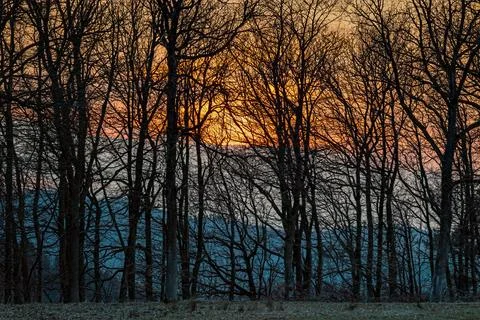 Sunset in the winter forest with bare trees and rays of light, Eifel, Germany Stock Photos