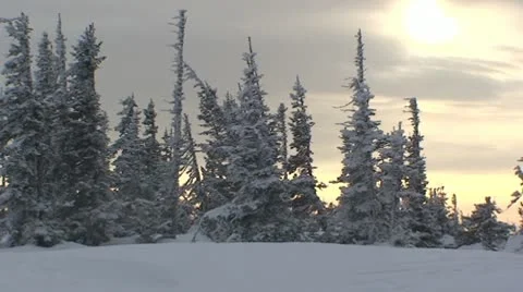 Sunset in the winter forest Stock Footage 10680653