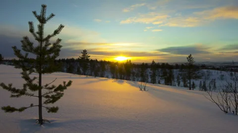 Sunset in winter forest Stock Footage 36648420