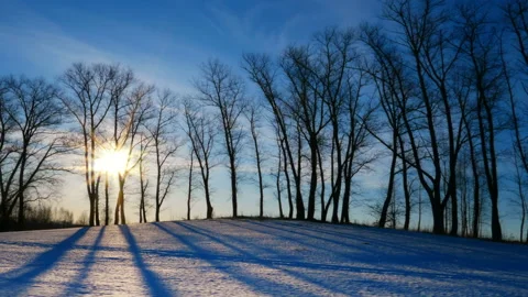 Sunset in the winter forest Stock-Footage 87724503