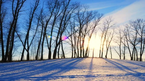 Sunset in the winter forest Vidéo 87724518