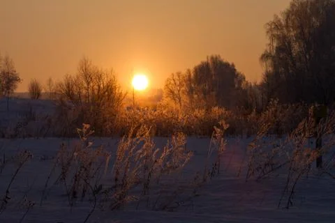 Sunset in winter forest Stock Photos