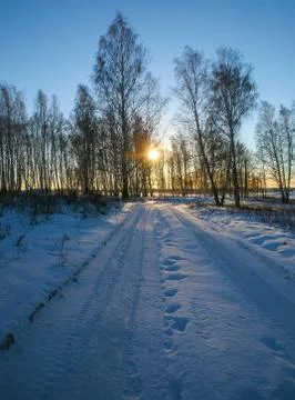 Sunset in the winter forest Foto stock