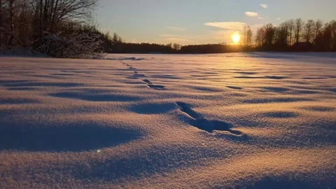 Sunset in winter landscape, rabbit tracks in pristine snow, rising shot Stock Footage 261712986