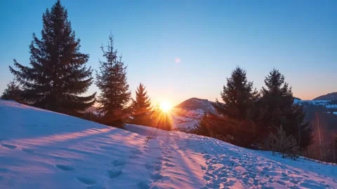 Sunset in the winter landscape.The rays of the sun shine through the trees Stock Footage 171676800