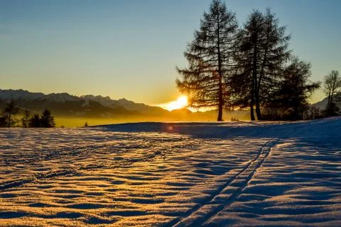 Sunset in winter. Landscape of snow, paths and trees with copy space. Stock Photos