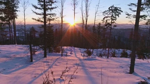 Sunset Winter Landscape Trees Aerial 4k Stock Footage 70886583