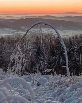 Sunset in winter landscape with trees Foto stock