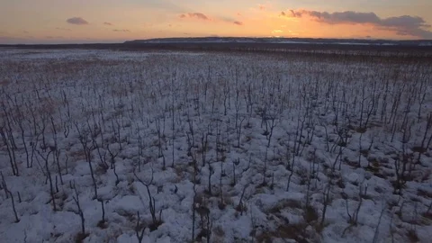 Sunset Winter Marshland Flyover Video stock 73000602