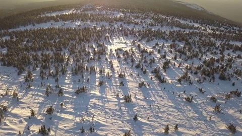 Sunset on the winter mountain ridge with trees aerial Stock Footage 84177938