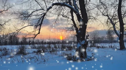 Sunset in winter park, snowfall Stock Footage 102600575