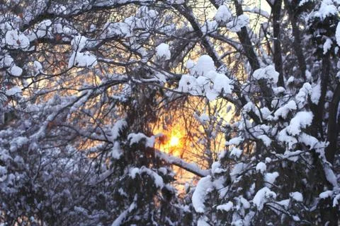 Sunset in winter Stock Photos