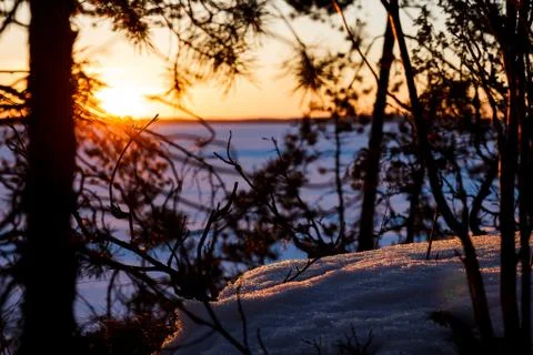 Sunset in the winter Photos