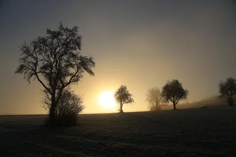 Sunset in the winter Stock Photos