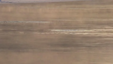 Sunset on a winter river, cormorants diving for food, northern Ukraine. 스톡 동영상 326952301