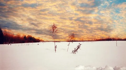Sunset in winter at snow field Vídeo Stock 46701150