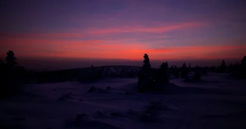 Sunset in winter. Trees covered in snow and colorful sky. Stock-Footage 88747819