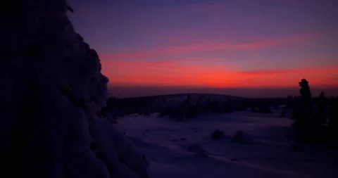 Sunset in winter. Trees covered in snow and colorful sky. 動画素材 88747842