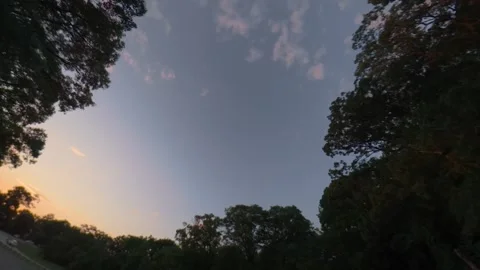 Sunset within the Valley Stream State park's trees, capturing nature, a sunset Stock-Footage 345042274