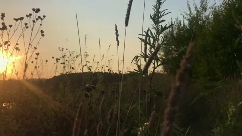 Sunset ,a woman's hand Video stock 158699735