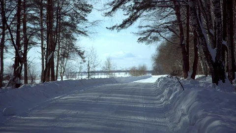 Sunset in the wood between the trees strains in winter period Vídeo Stock 91415618