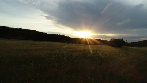 Sunset in the wood Stock Footage 90510935