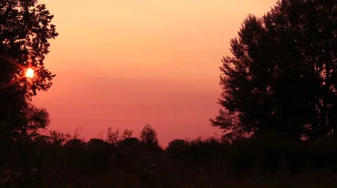 Sunset in  wood in red tones. Time lapse Stock Footage 25758652