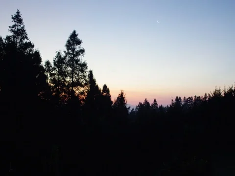 Sunset in the Woods Stock Footage 78374018
