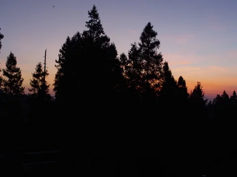 Sunset in the Woods Stock Footage 78374051