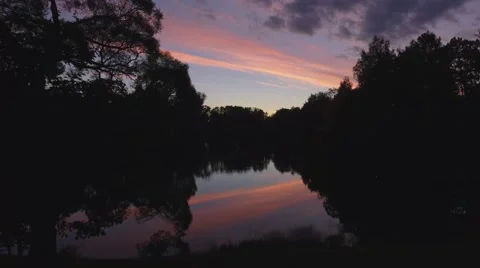 Sunset in the Woods by the river Stock Footage 68074291