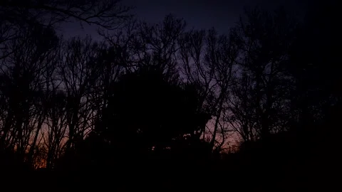 Sunset in the Woods - Time-lapse Stock Footage 171128026