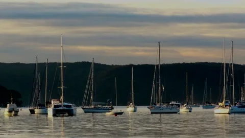 At sunset yachts bobble around on their moorings on a bay. Video stock 134663516