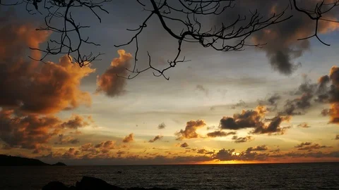 Sunset yellow gold beam light cloudy sky  into the sea with silhouette dry br Stock Footage 95655423