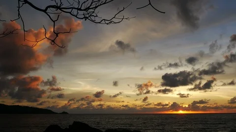 Sunset yellow gold beam light cloudy sky  into the sea with silhouette dry br Video stock 95655563