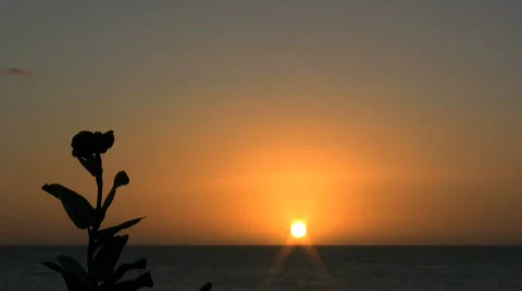 Sunset01cu HD Stock Footage 306929