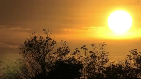 Sunset1 Stock Footage 130299290