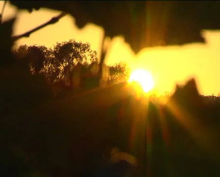 Sunset3 Stockbeeldmateriaal 22891140