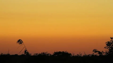 Sunset5 Stock Footage 917612