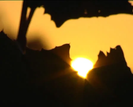 Sunset5 Stock-Footage 22891083