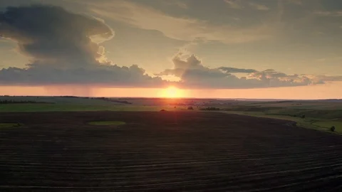 Sunset.Camera lifting up in agricultural fields. 스톡 동영상 111384150
