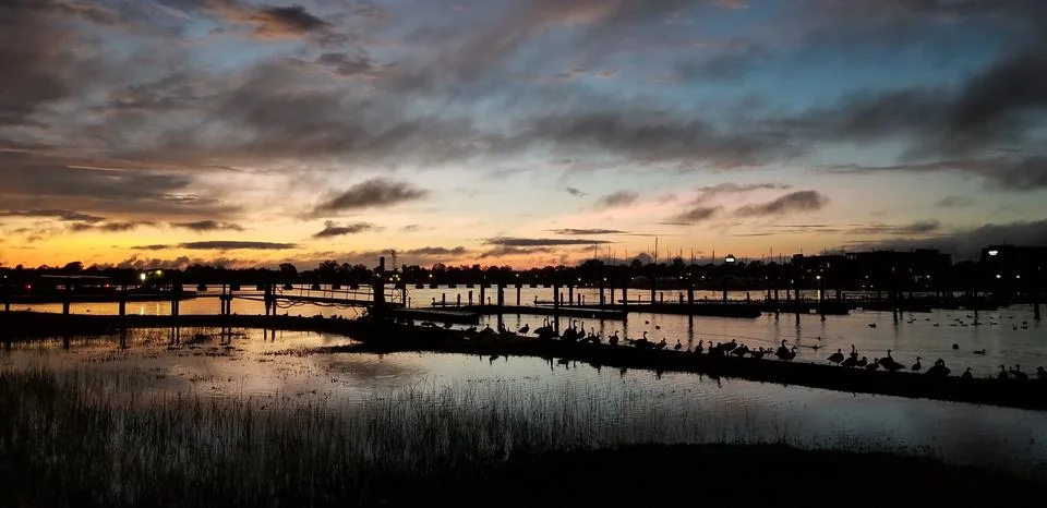 Sunsetducks Stock Photos