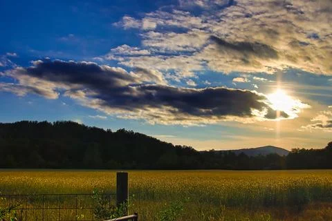 SunsetField Fotos Stock