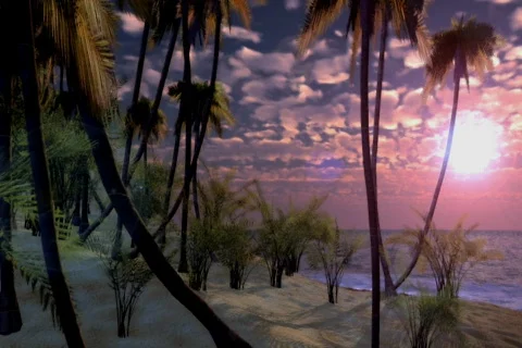 SunsetIsland 14 2997 Video stock 68224