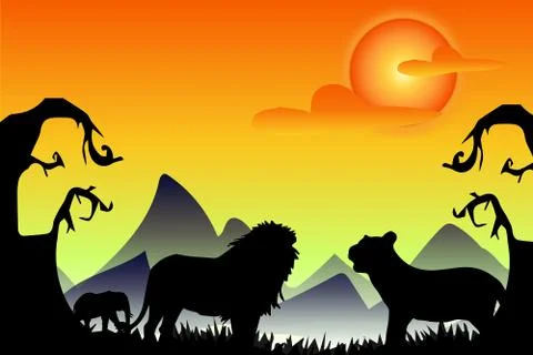Sunsetlion and tiger face to face when the sunset Stock Illustration