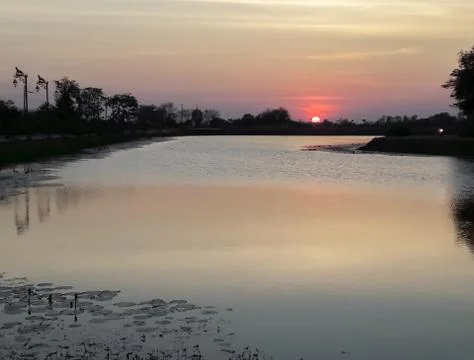 Sunsets behind the pond. Stock Photos