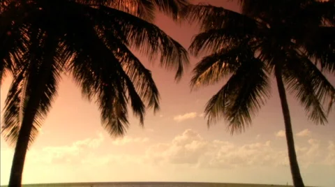 Sunsets Stock Footage 288294
